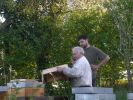 apiculture-15.jpg